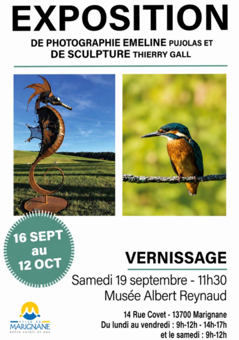 Exposition de photographies (Emeline Pujolas) et de sculptures (Thierry Gall)