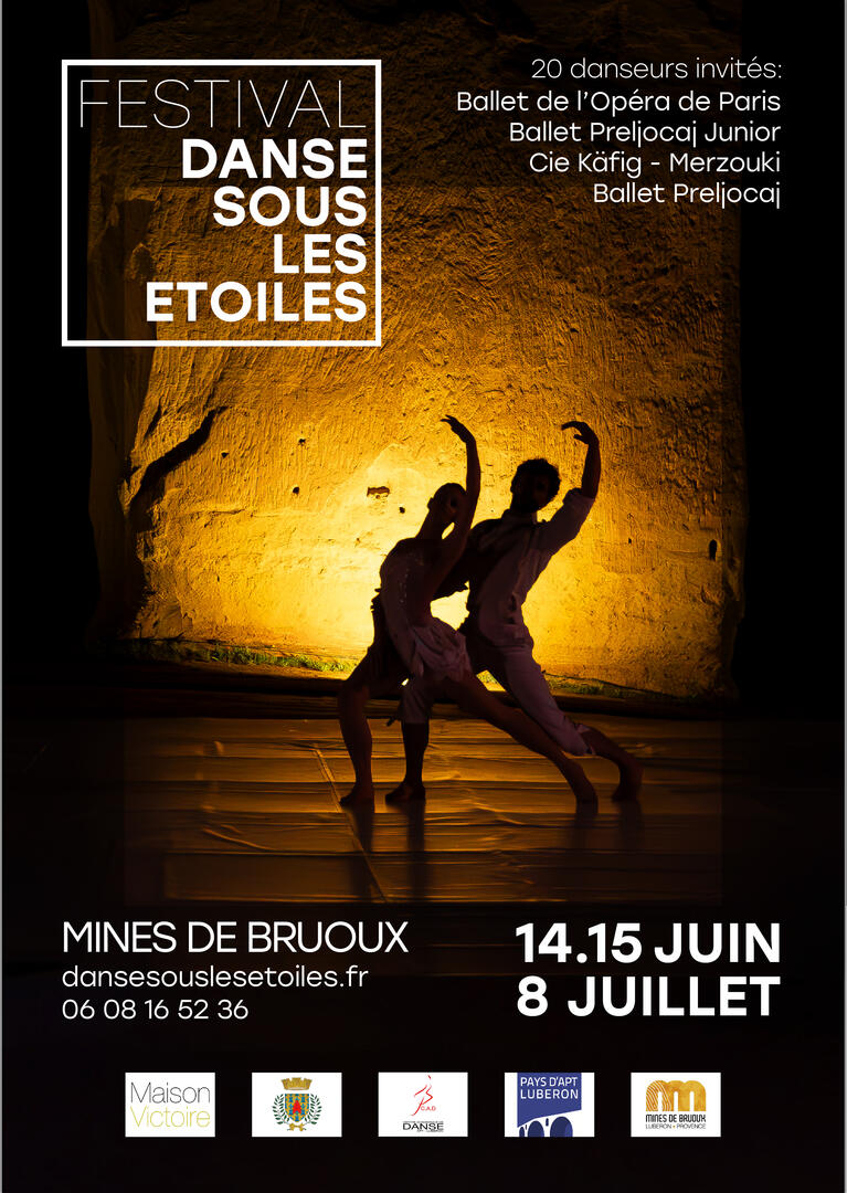 Affiche Festival Danse sous les Etoiles