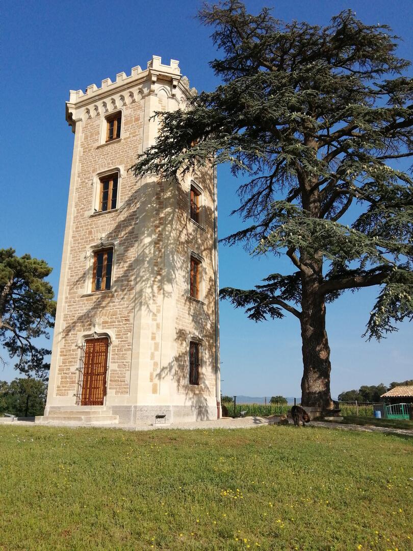 Animations à la Tour du Boujard_Sainte-Euphémie