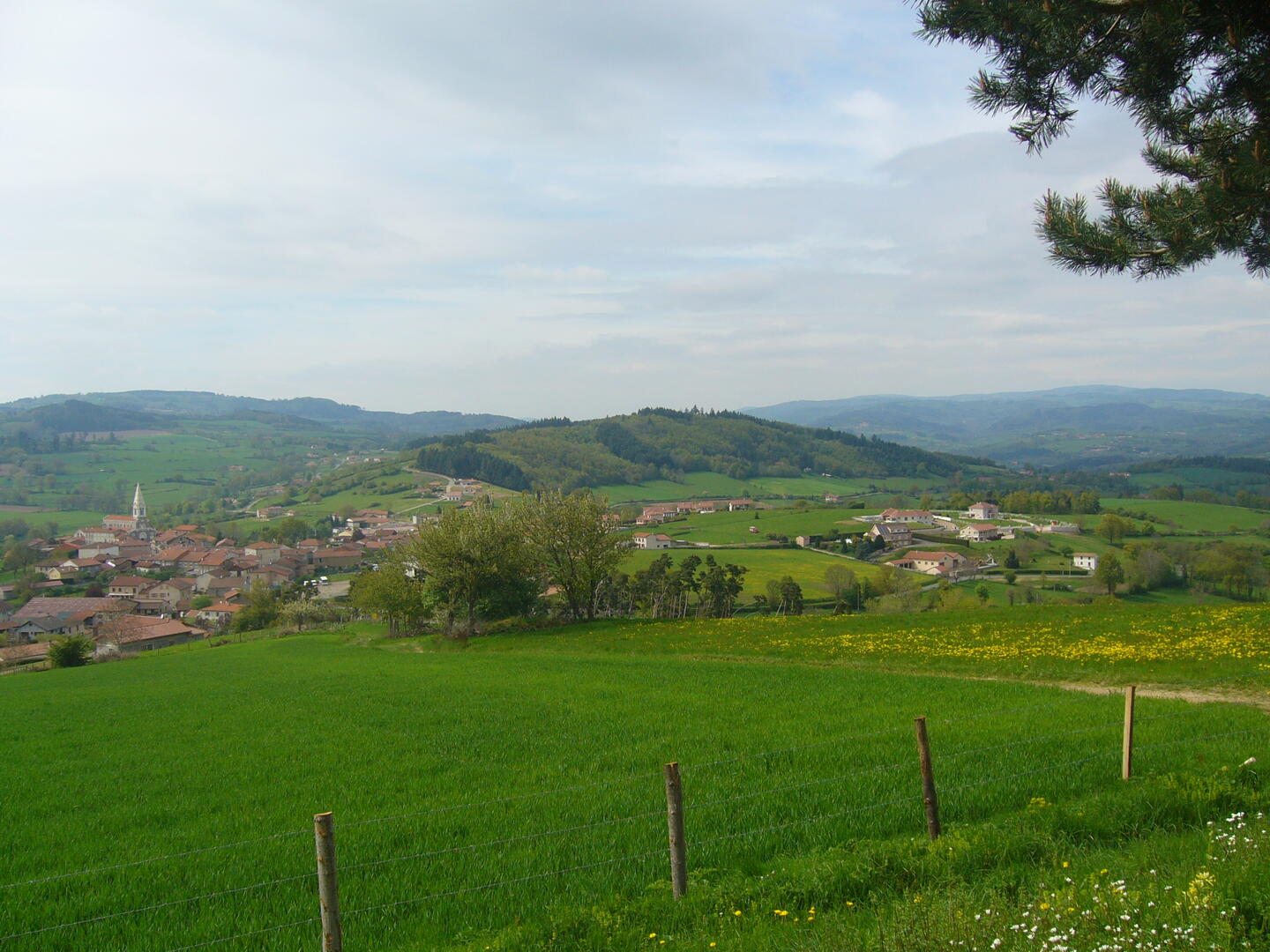Vue d'ensemble St Martin La Sauveté