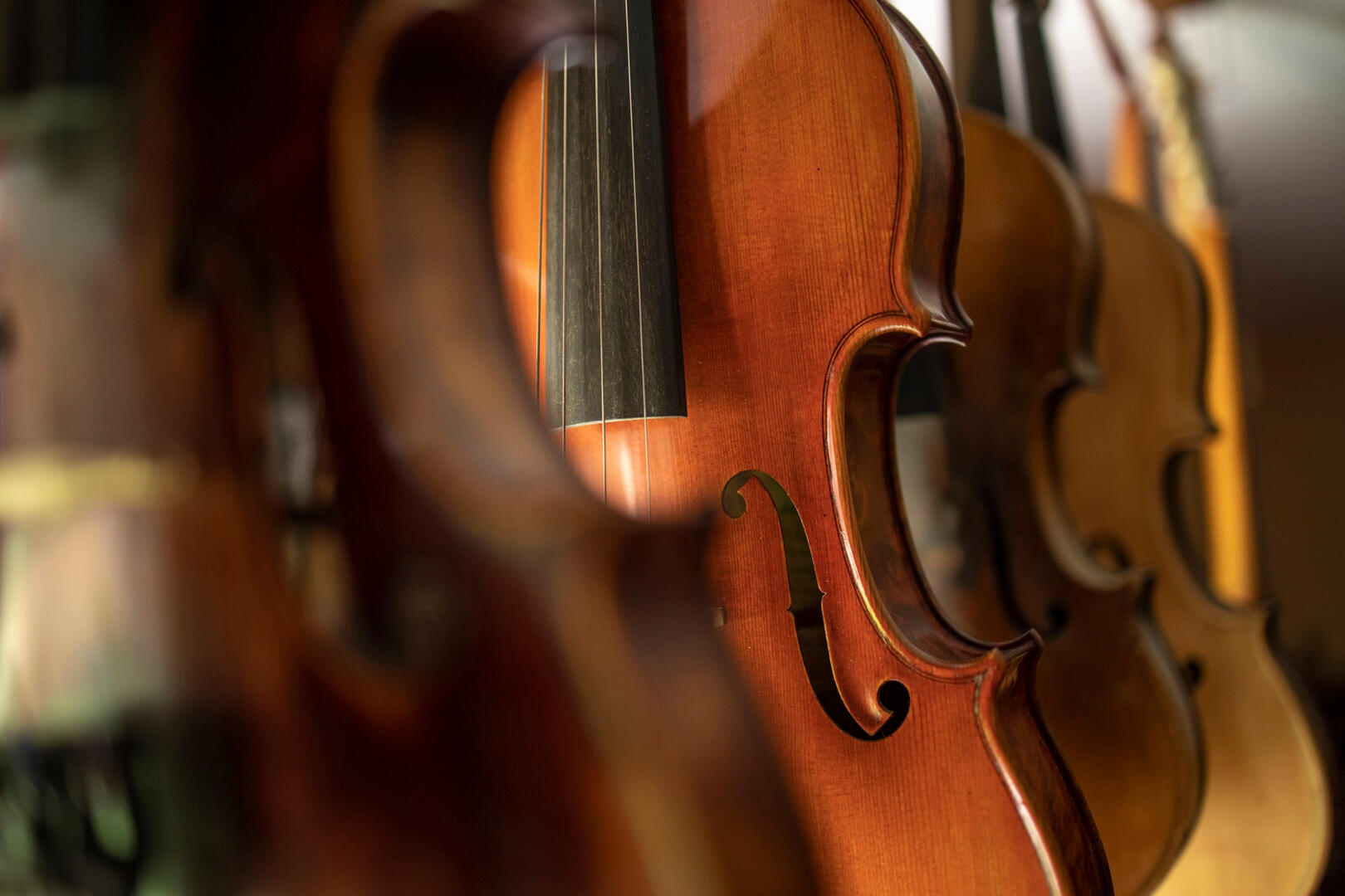 Instant musical : Le violon en cavale_Labastide-Saint-Pierre