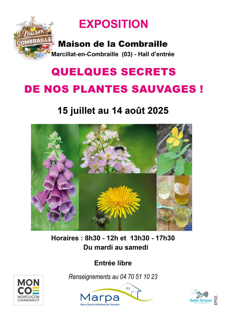 Quelques secrets de nos plantes sauvages !_Marcillat-en-Combraille