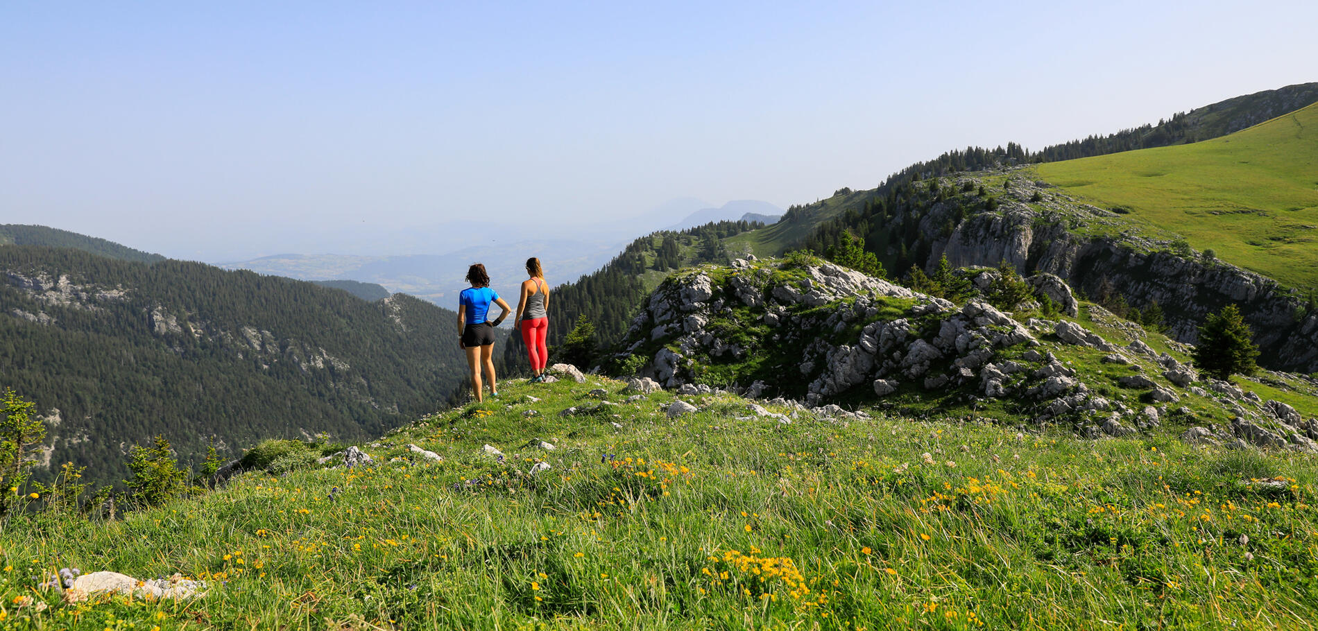 Trail " Col de Porte "