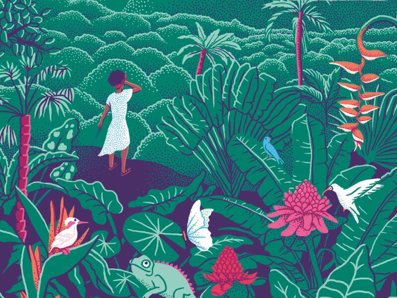 Lecture musicale & dessinée - Ti Fol, fille du volcan_Montauban