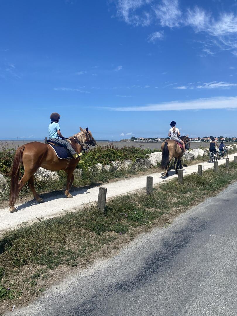 Balade à cheval_Fouras