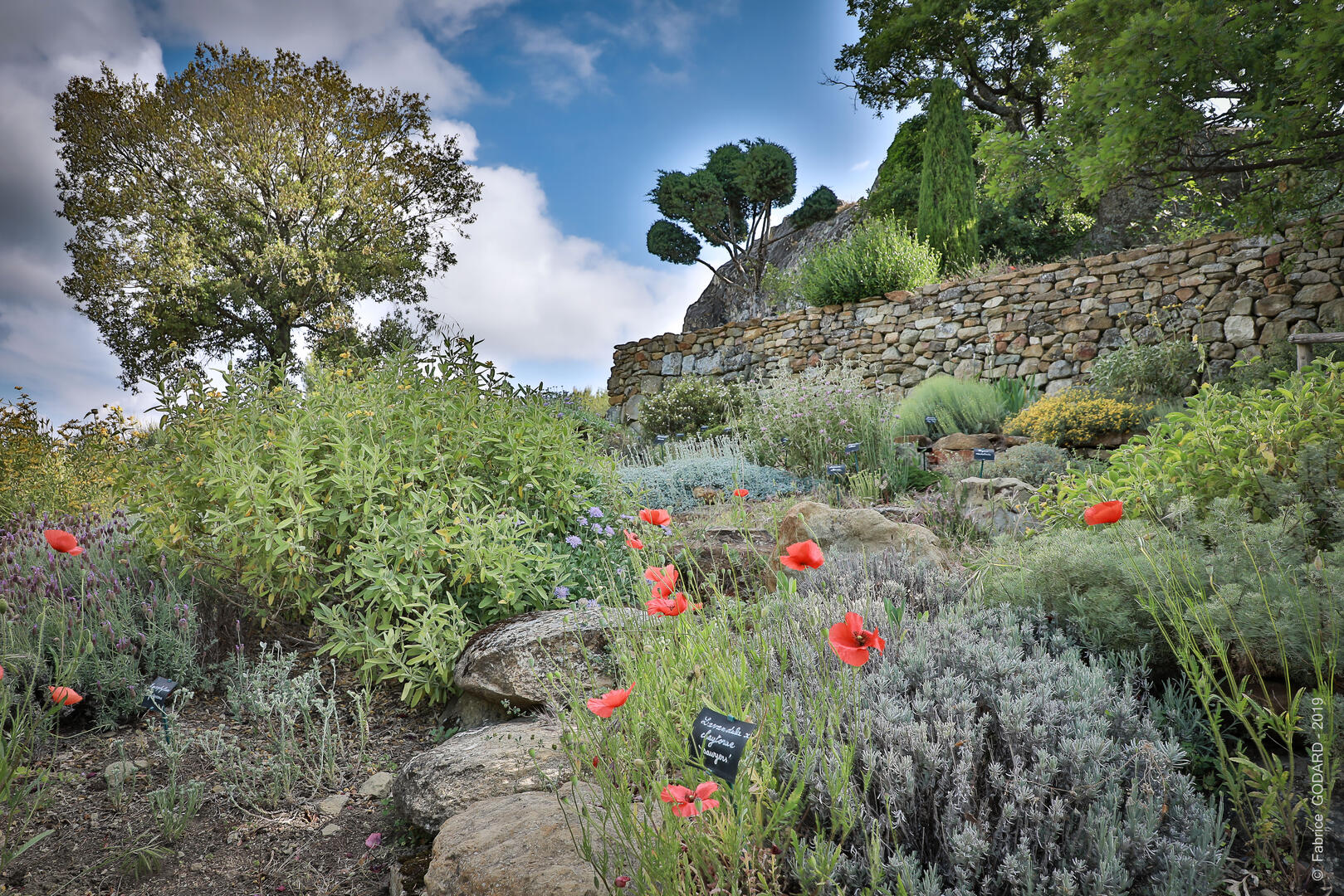 Conférence : Le jardin sec_Simiane-la-Rotonde