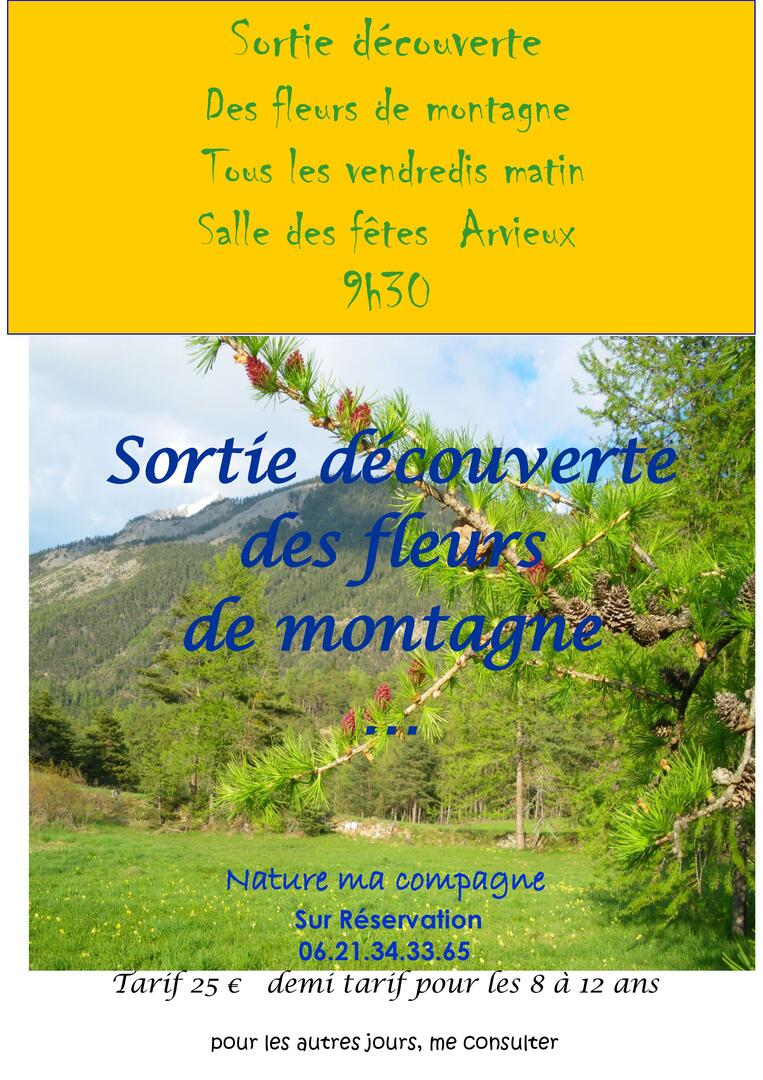 Sortie découverte des fleurs de montagne_Arvieux