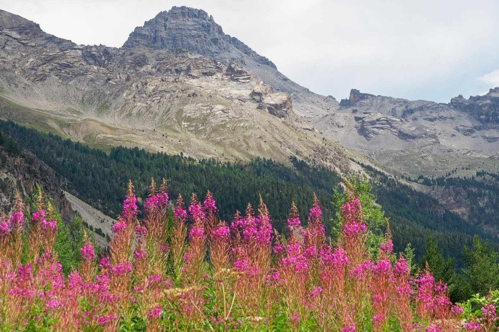Pic de Rochebrune - Cervières