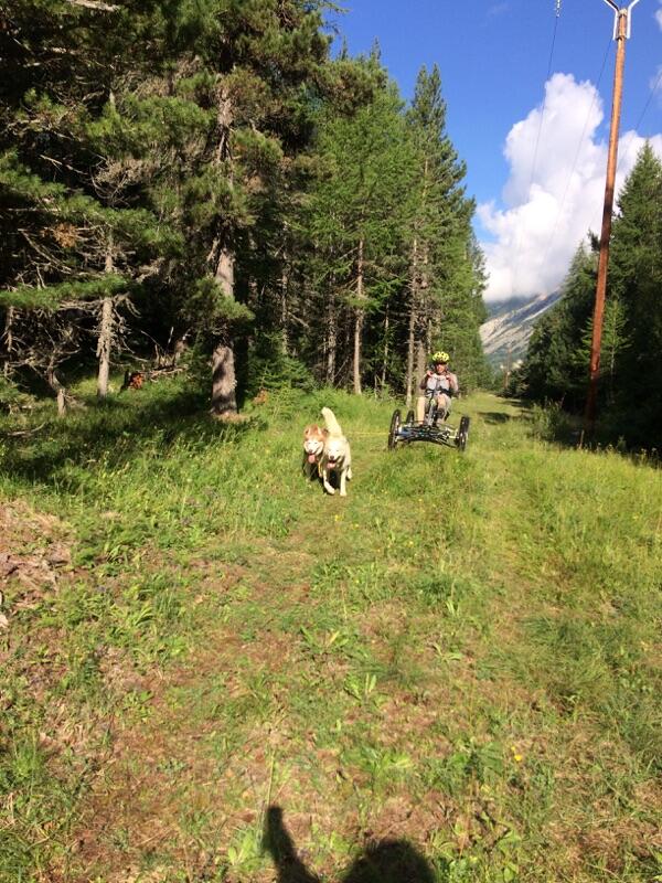 Randonnée avec les chiens de traineau et VTT