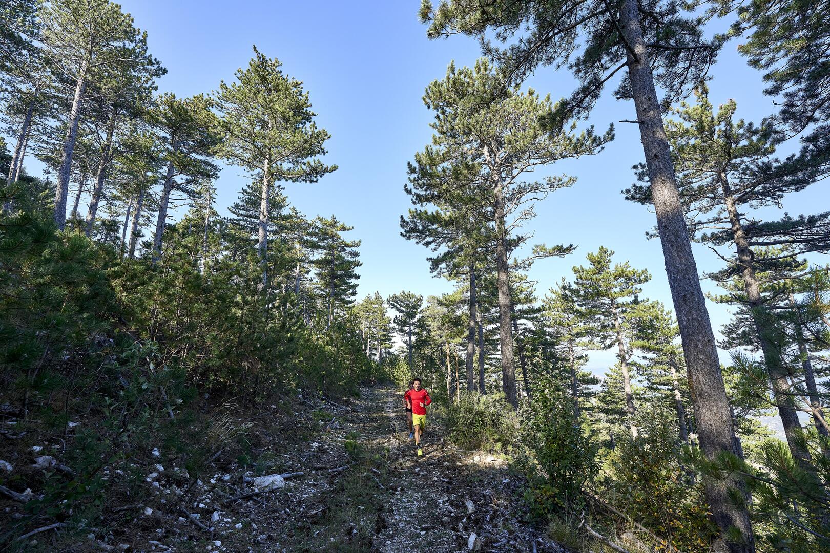 Trail Bédoin