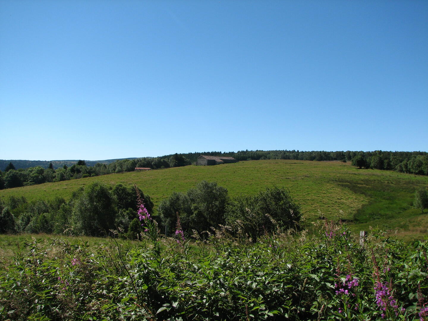 Journée européenne de l'archéologie_Usson-en-Forez