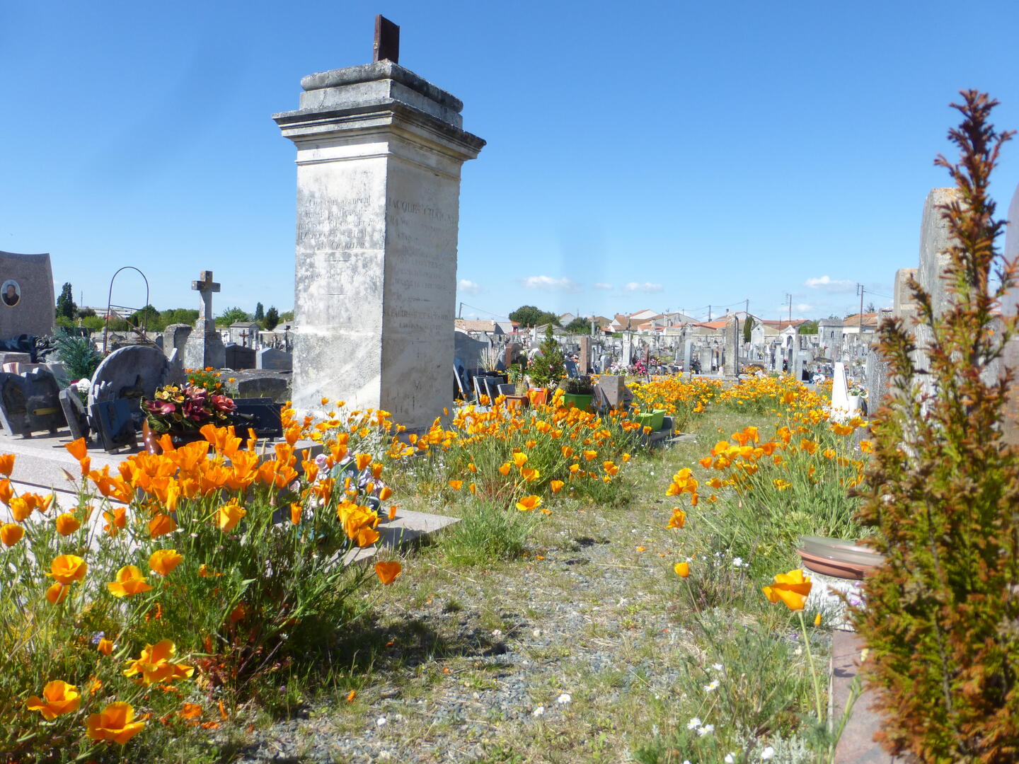 Printemps des cimetières