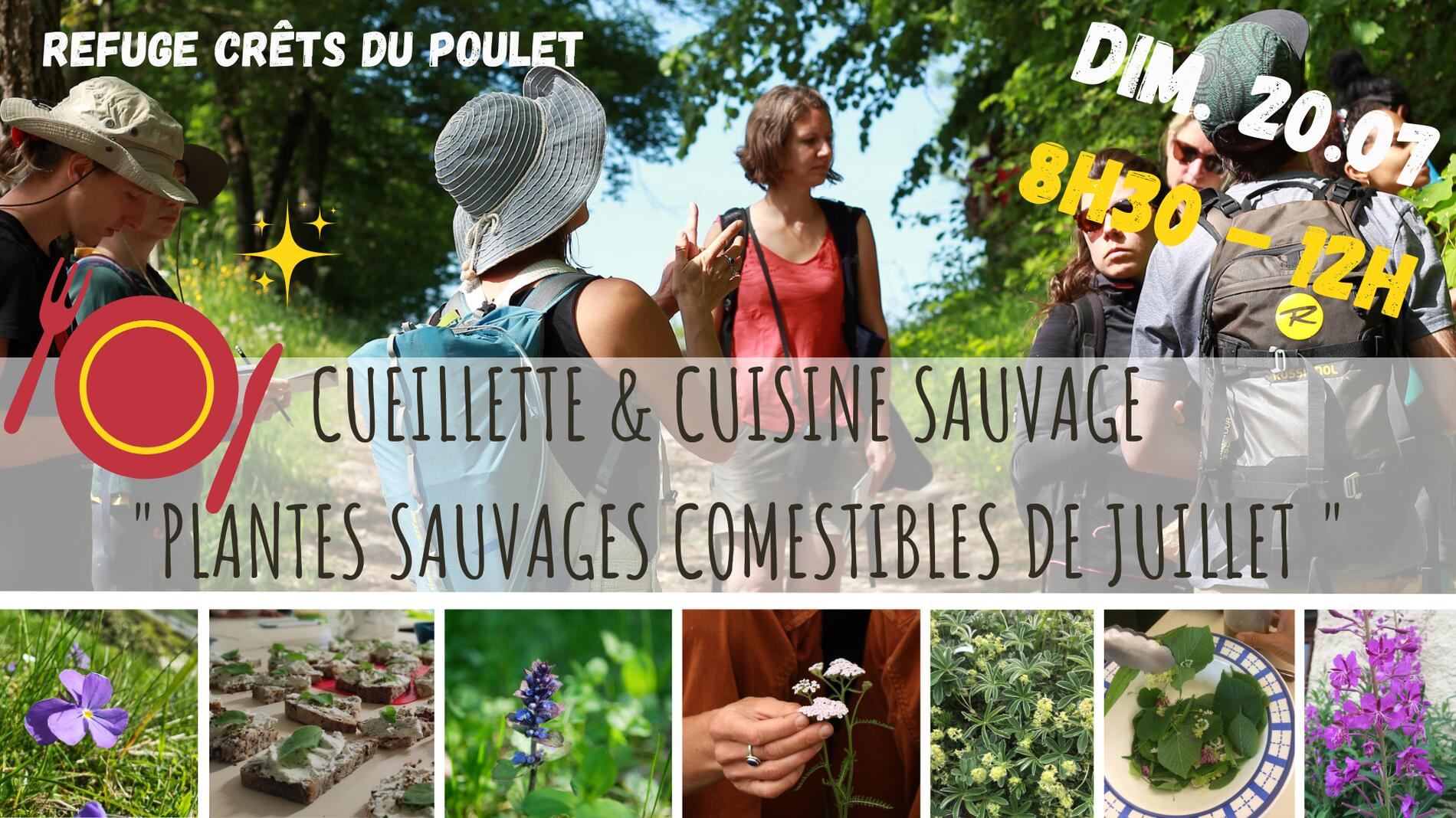 Balade cueillette & Cuisine sauvage au refuge du Crêts du Poulet _ 20 Juillet