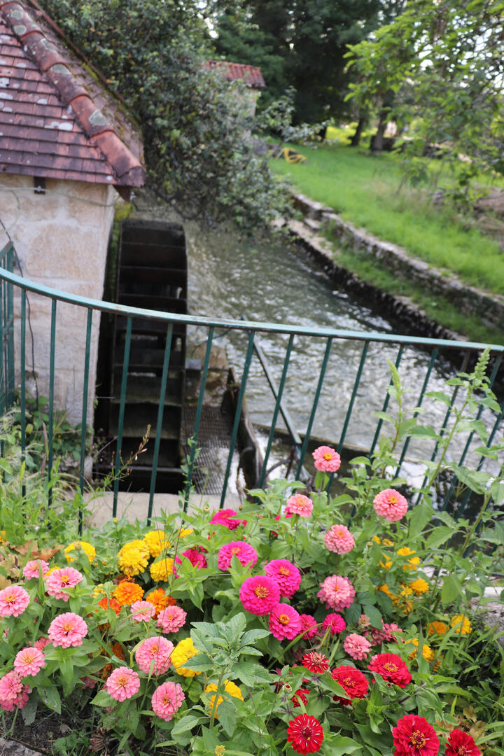 Verjon, au fil de l'eau_Verjon