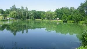 Plan d'eau