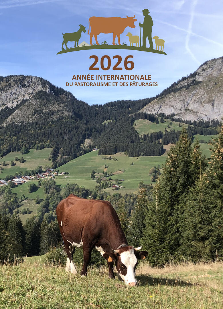 Regards croisés sur les alpages : projections et échanges d’experts_Abondance