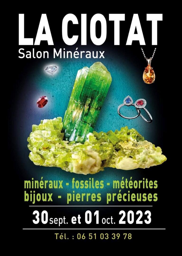 Salon des Minéraux, Fossiles, Météorites, Bijoux et Pierres Précieuses