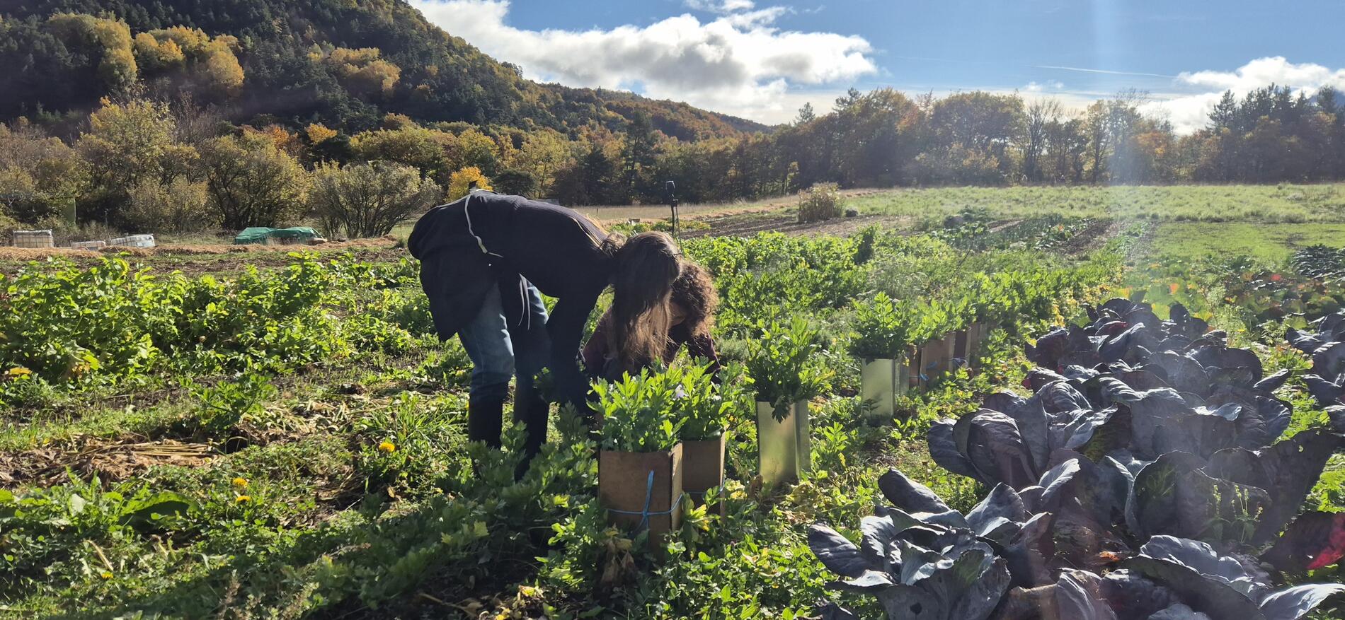 Visite et atelier cuisine aux jardins du Pas du Loup_Le Glaizil