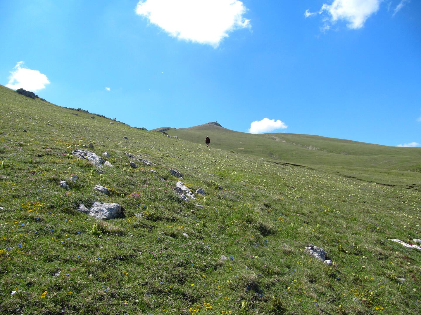 Sommet du Chiran