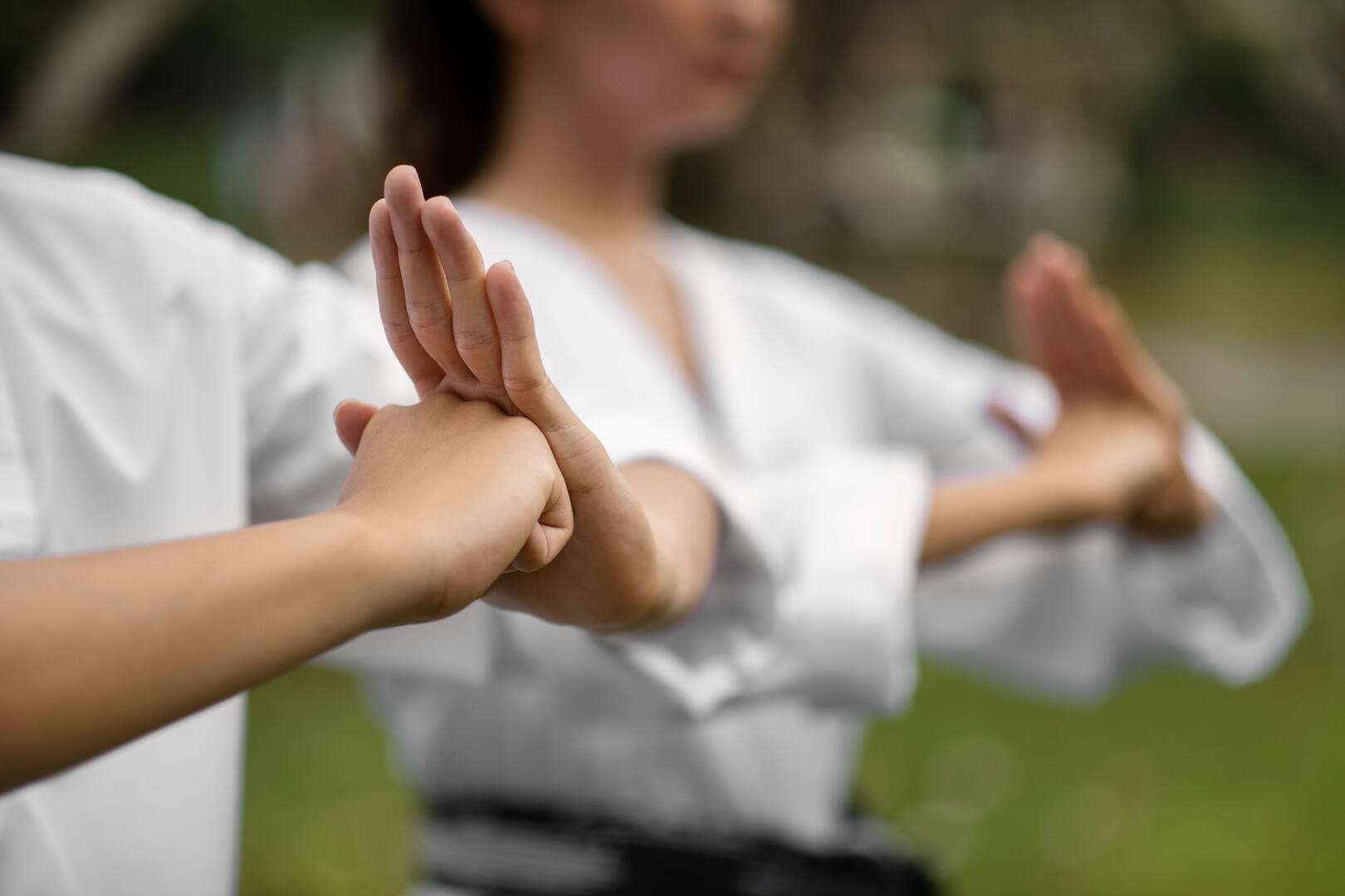 Tai Chi Chuan_Les Bordes-sur-Arize