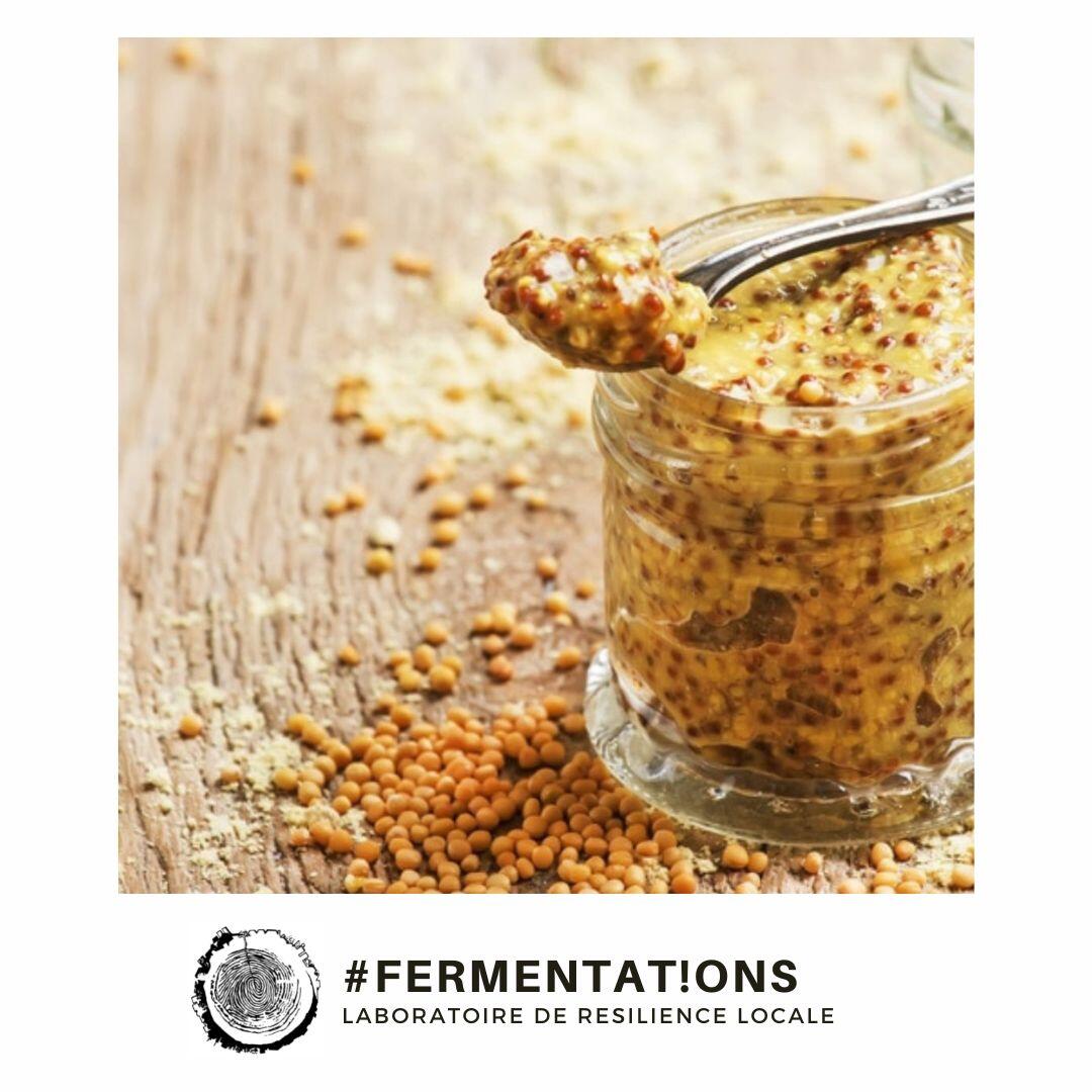 Atelier Fermentat!ion : Faire sa moutarde
