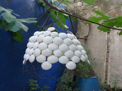 13ART006029_1_WEB.jpg