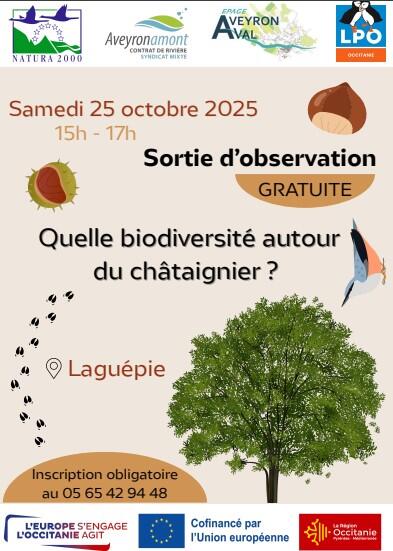 Sortie d'observation_Laguépie