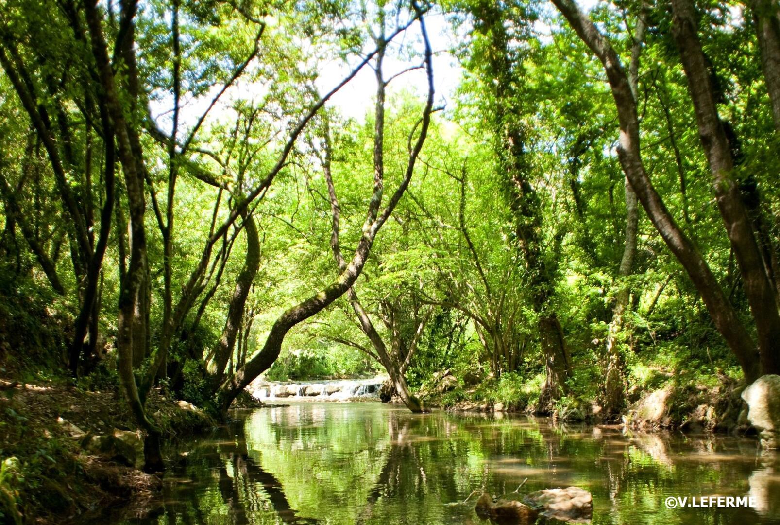 La Brague