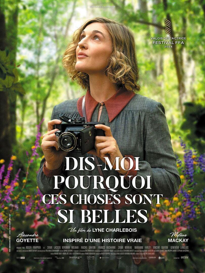 Affiche film Dis-moi pourquoi ces choses sont si belles