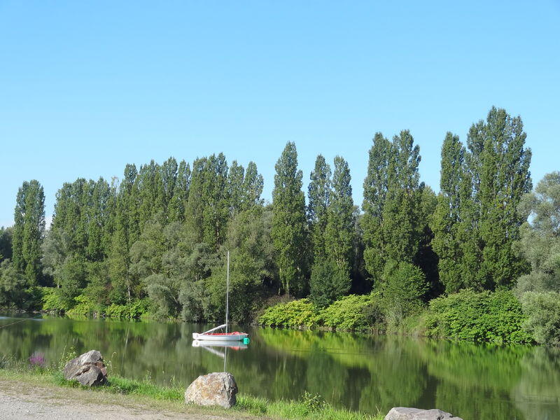 img-name-mising