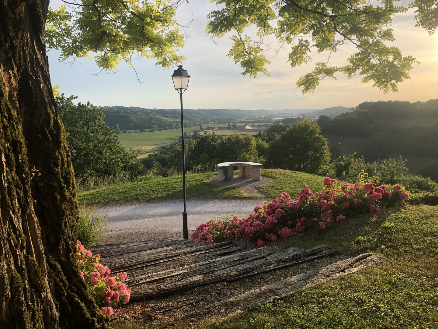 Le point de vue de Montjoi_Montjoi