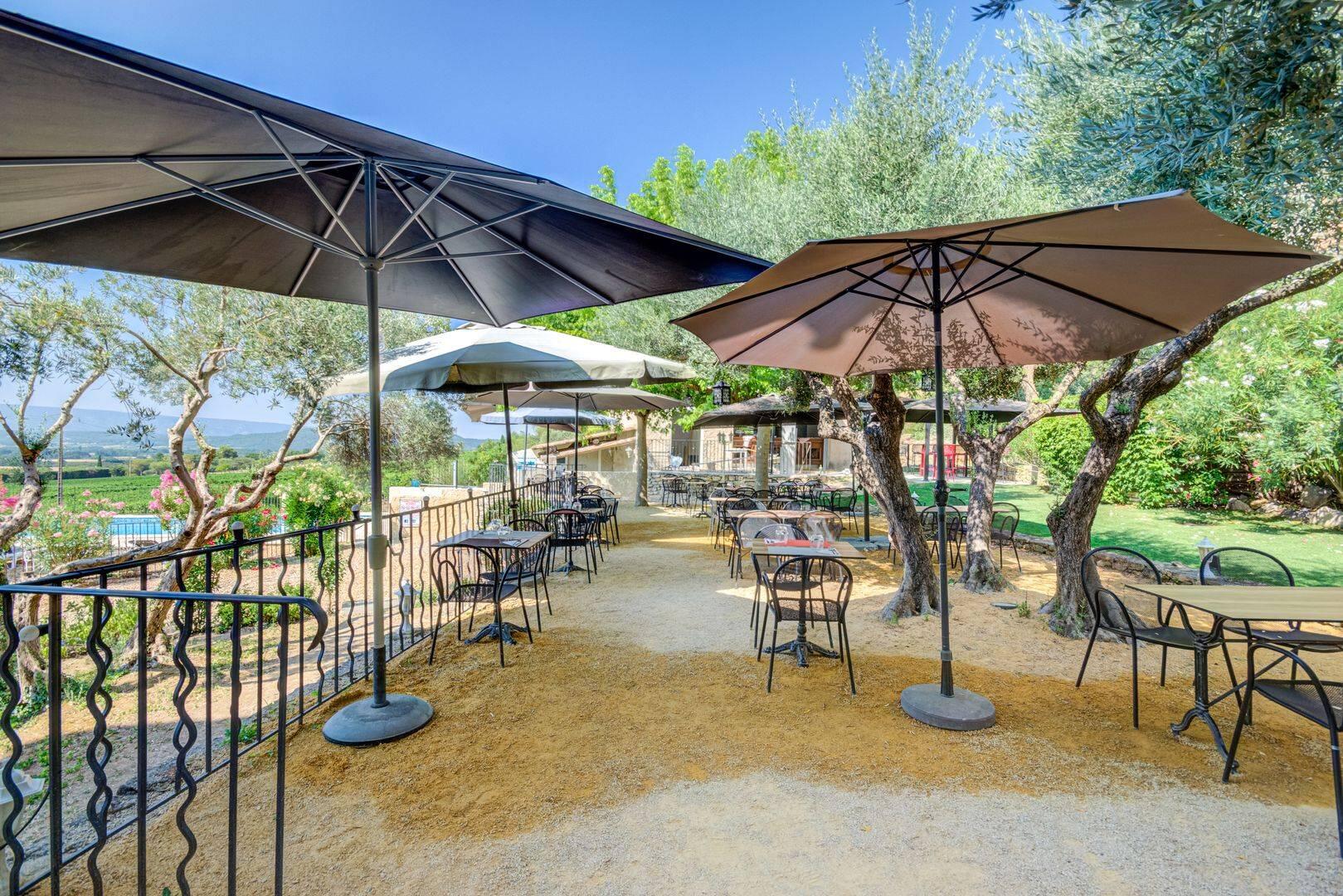 Terrasse à l'ombre des oliviers