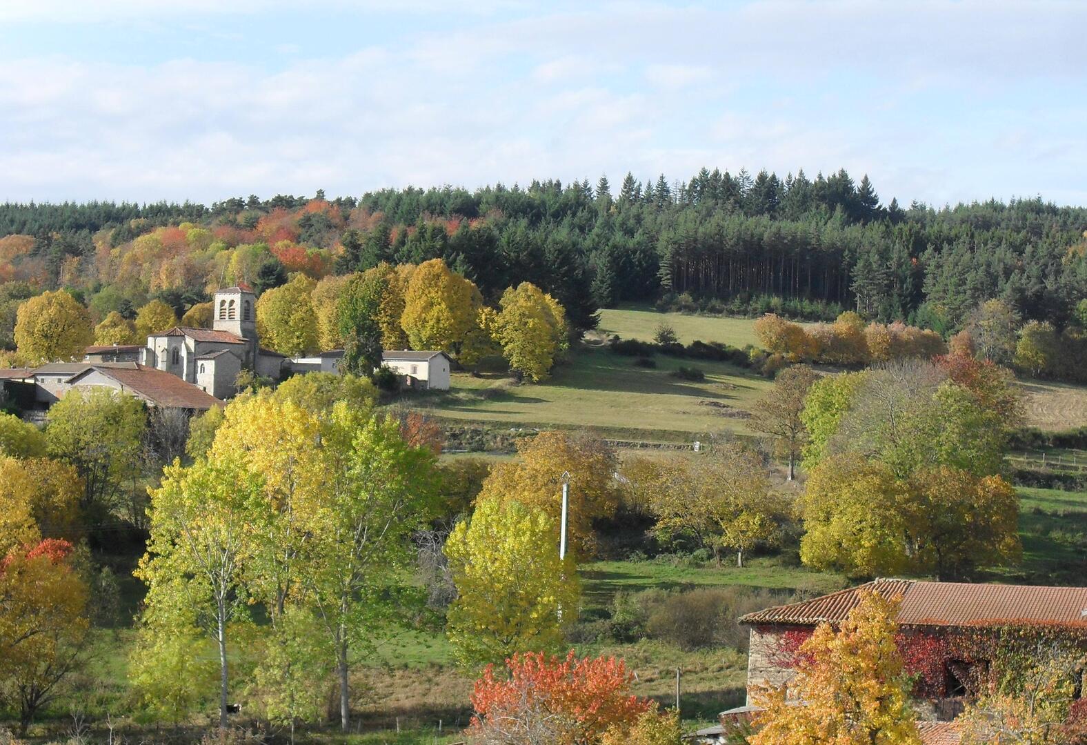 marche de la chataigne