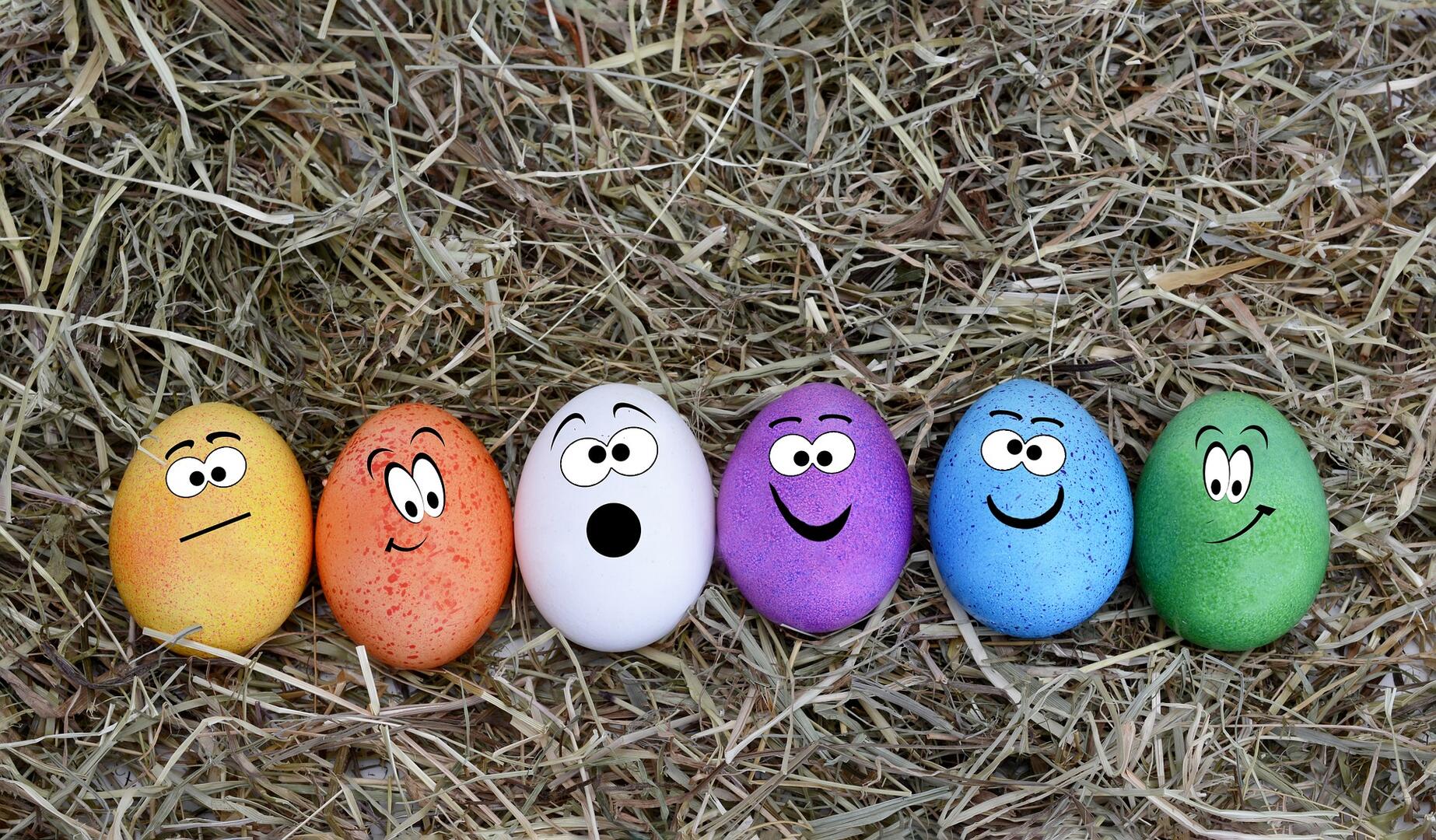 Chasse aux oeufs