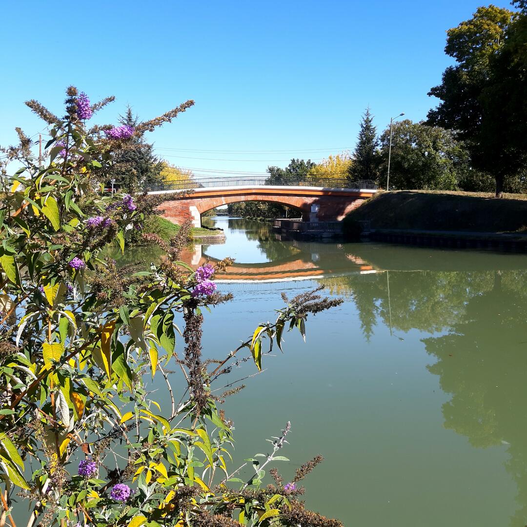 Canal de Montech
