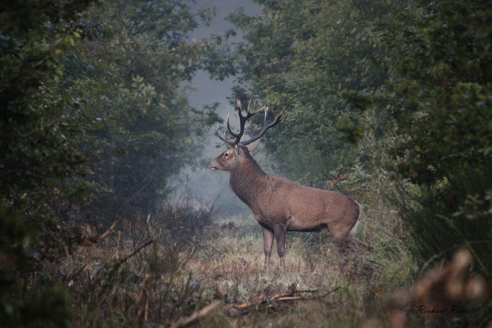 Exposition "Les équipages de chasse"_Cérilly