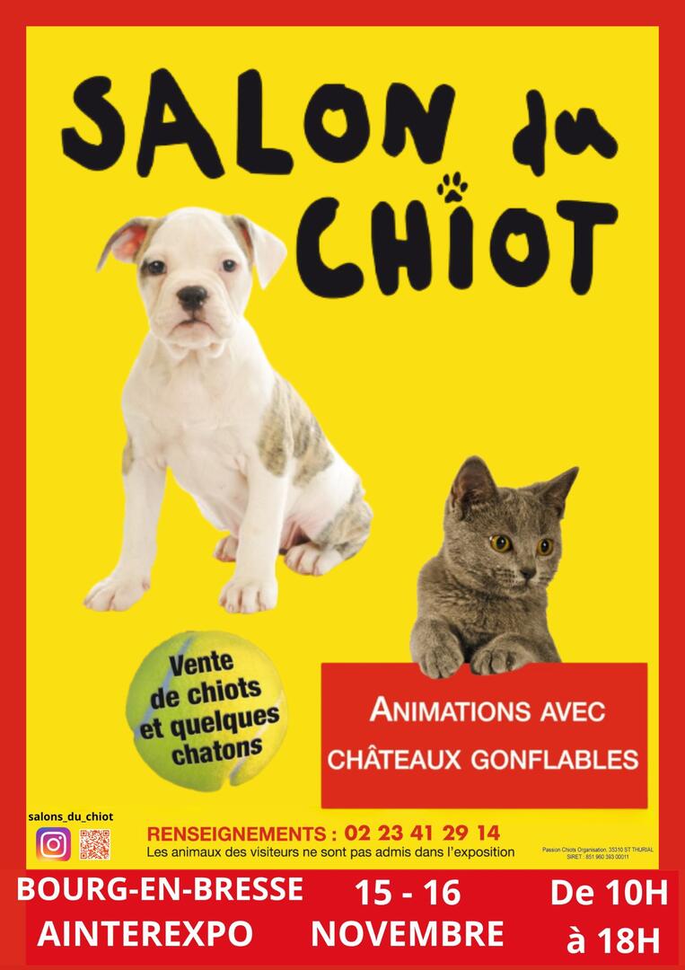 Affiche_Salon du Chiot_Bourg en Bresse