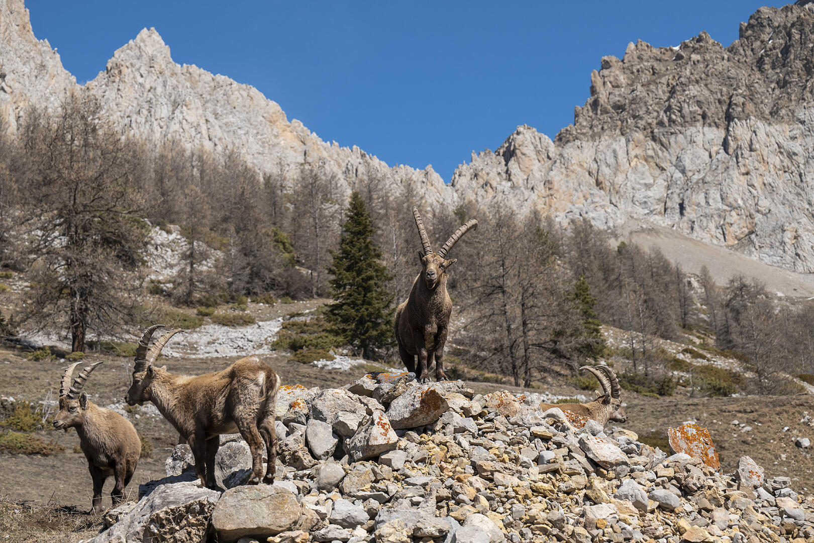 Col de Cloche et Baume Longe