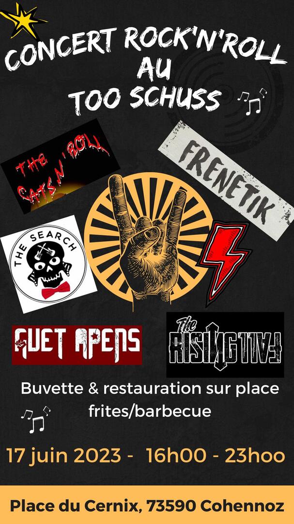 Concert Rock'n'Roll