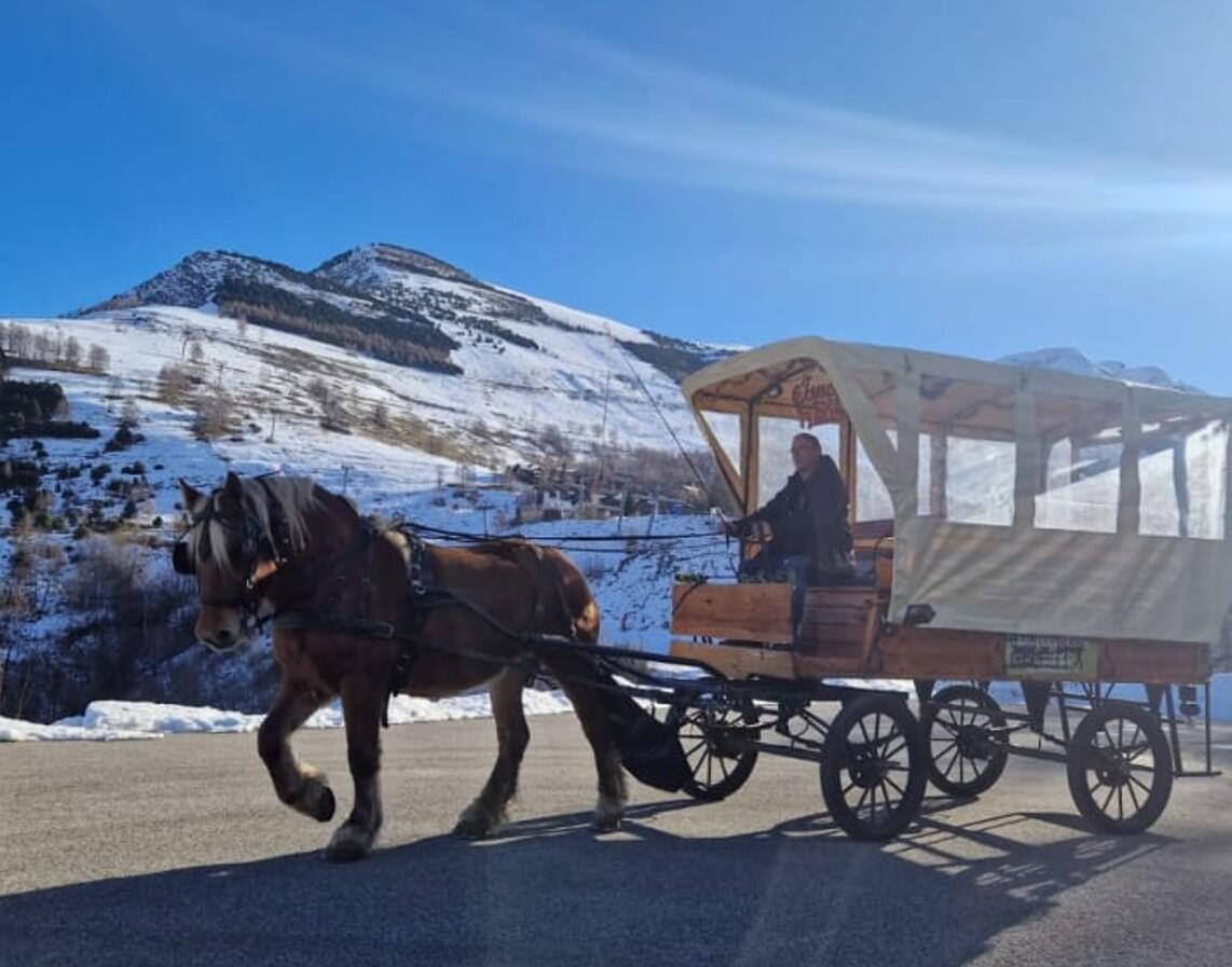 Promenade en calèche avec option dinatoire_Les Deux Alpes