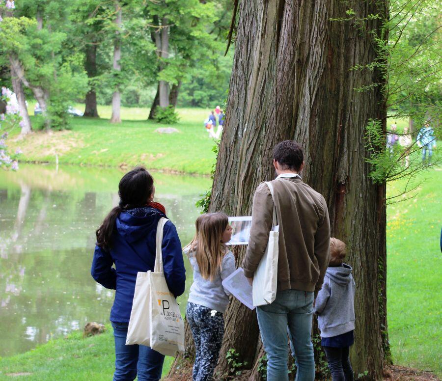 Le Parc à l'envers ! Balade sensorielle dans le parc de Cibeins_Misérieux