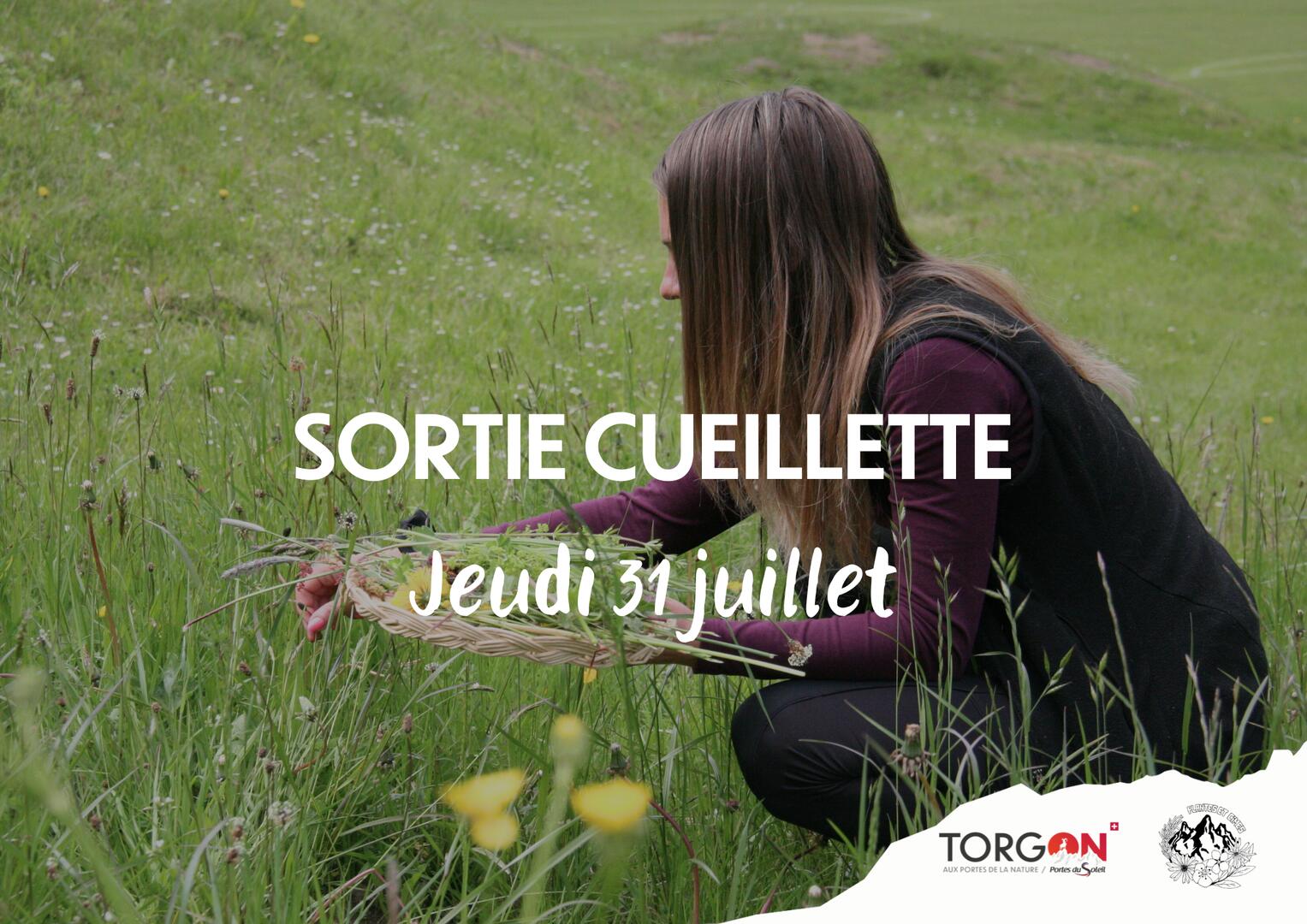 Sortie Cueillette_Torgon