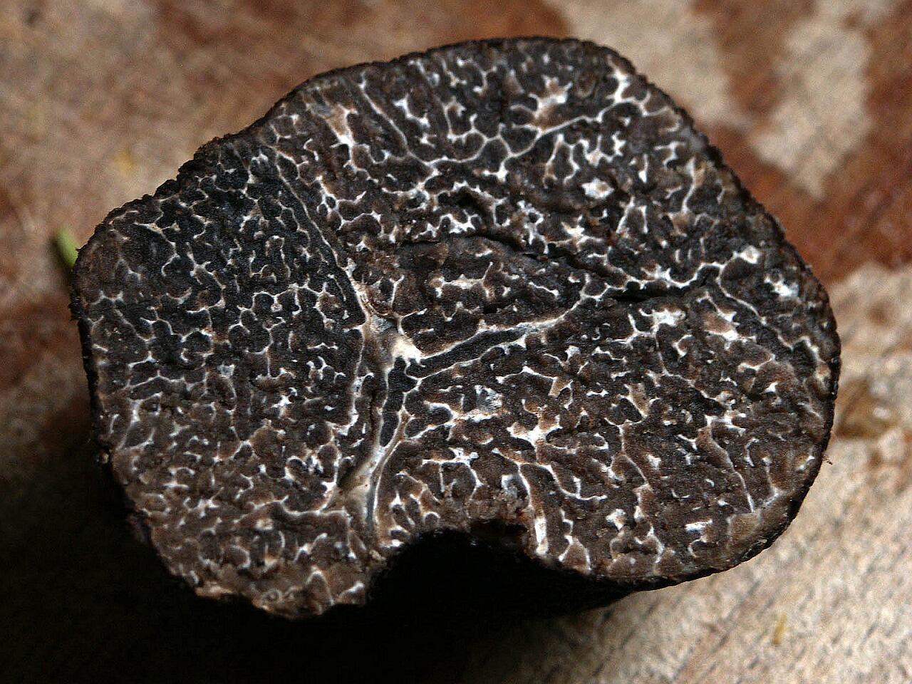 Confrérie de la truffe