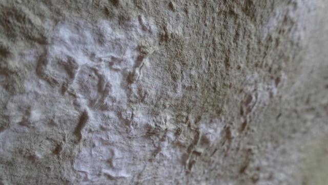 Stage pâte à papier_Montauban