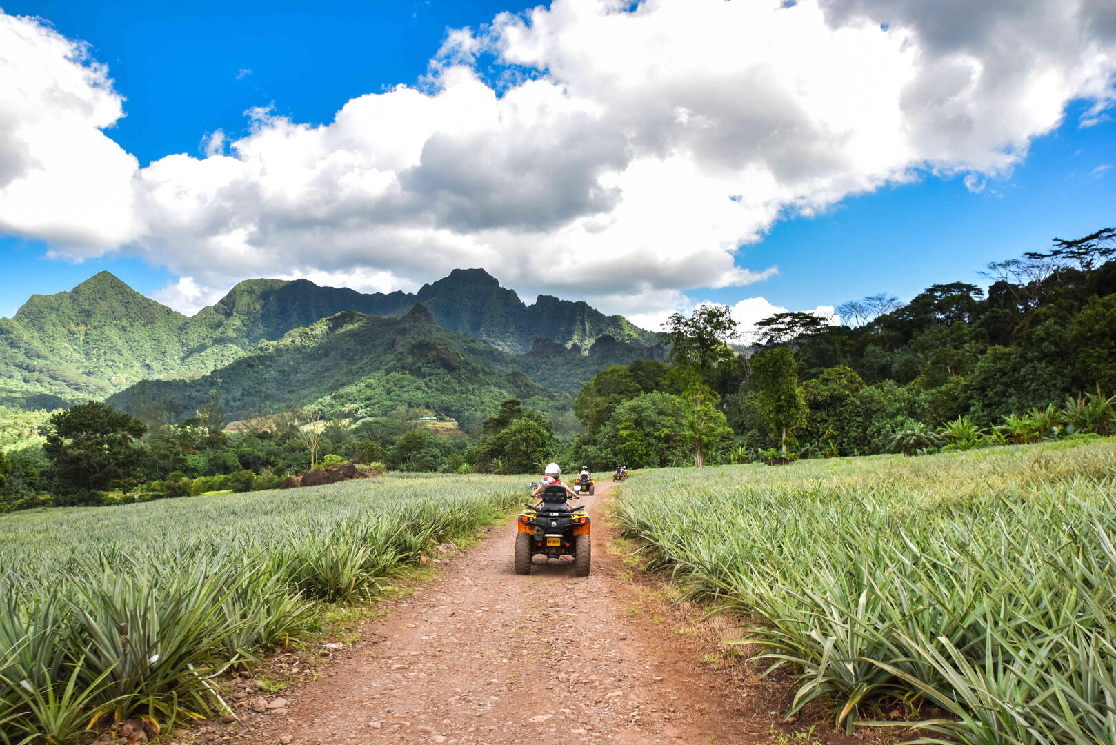 Route des Ananas - Tahiti Tourisme