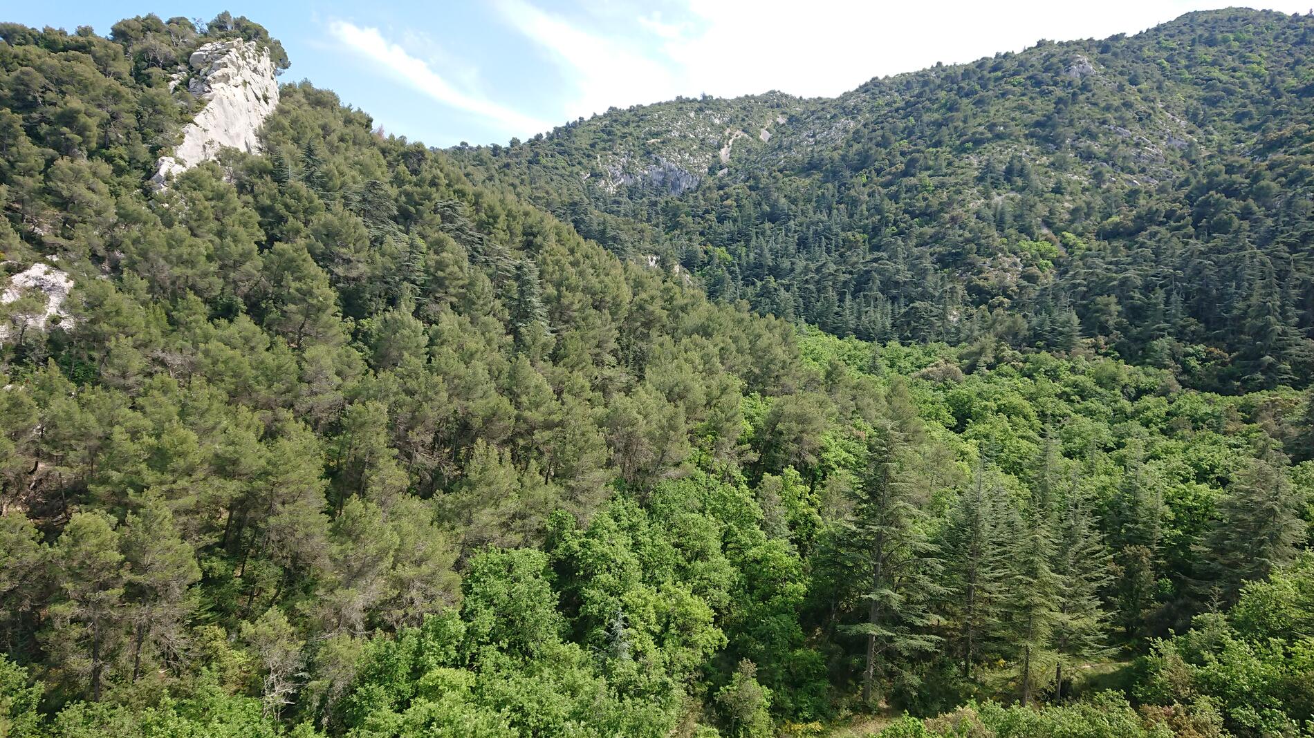 Randonnée en Provence