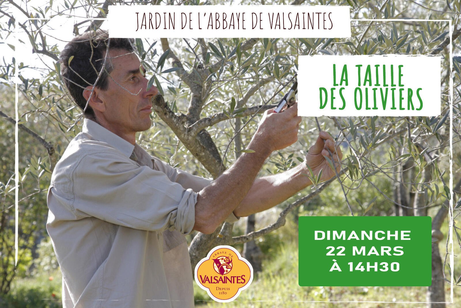 Conférence : La taille des oliviers_Simiane-la-Rotonde
