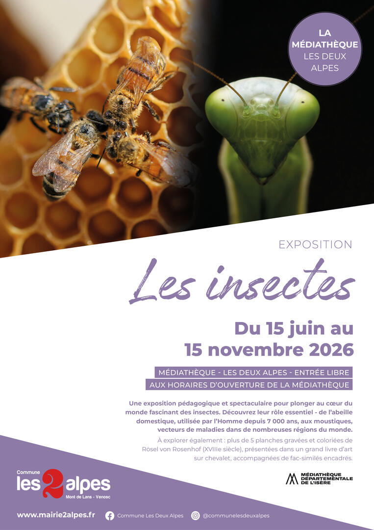 Exposition - Les insectes_Les Deux Alpes