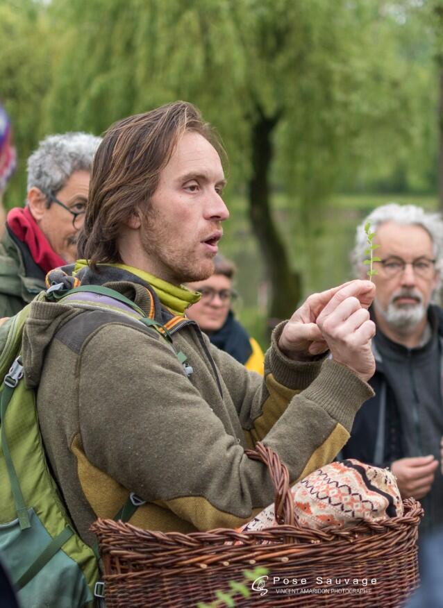 Stage cuisine sauvage, macération et pharmacie familiale en Forêt de Tronçais_Le Brethon