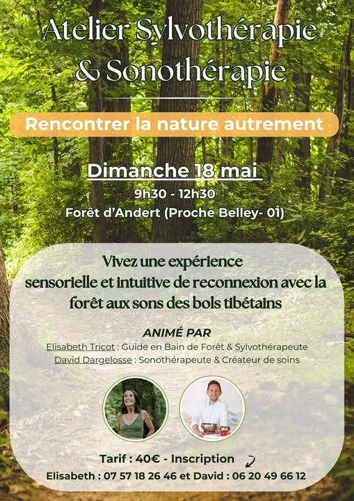 Atelier sylvothérapie et sonothérapie_Andert-et-Condon